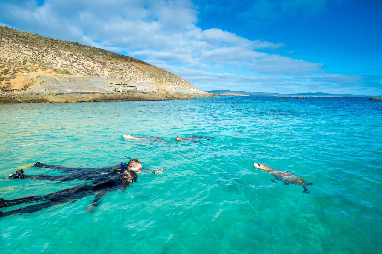 Rodney Fox Shark Expeditions ASK Photography Private Charter